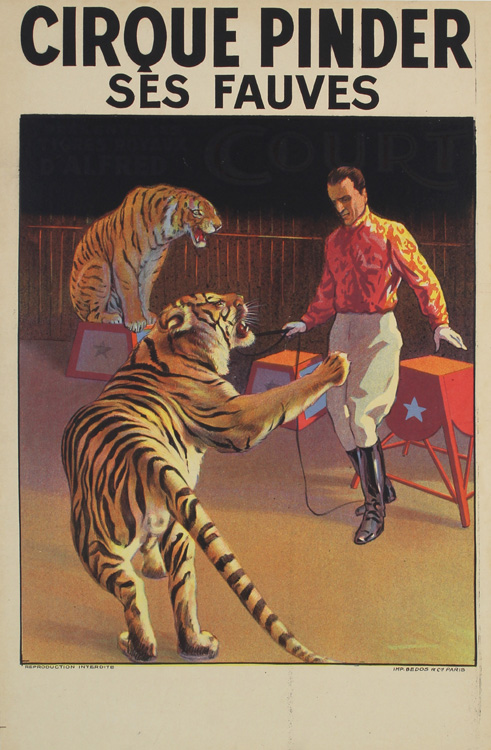 Tiger, Pinder, 1950