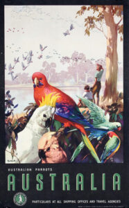 Australian Parrots - Australia, James Northfield, 1930s
