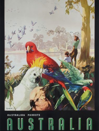 Australia - Australian Parrots
