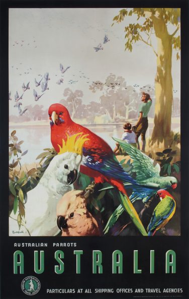 Australia - Australian Parrots